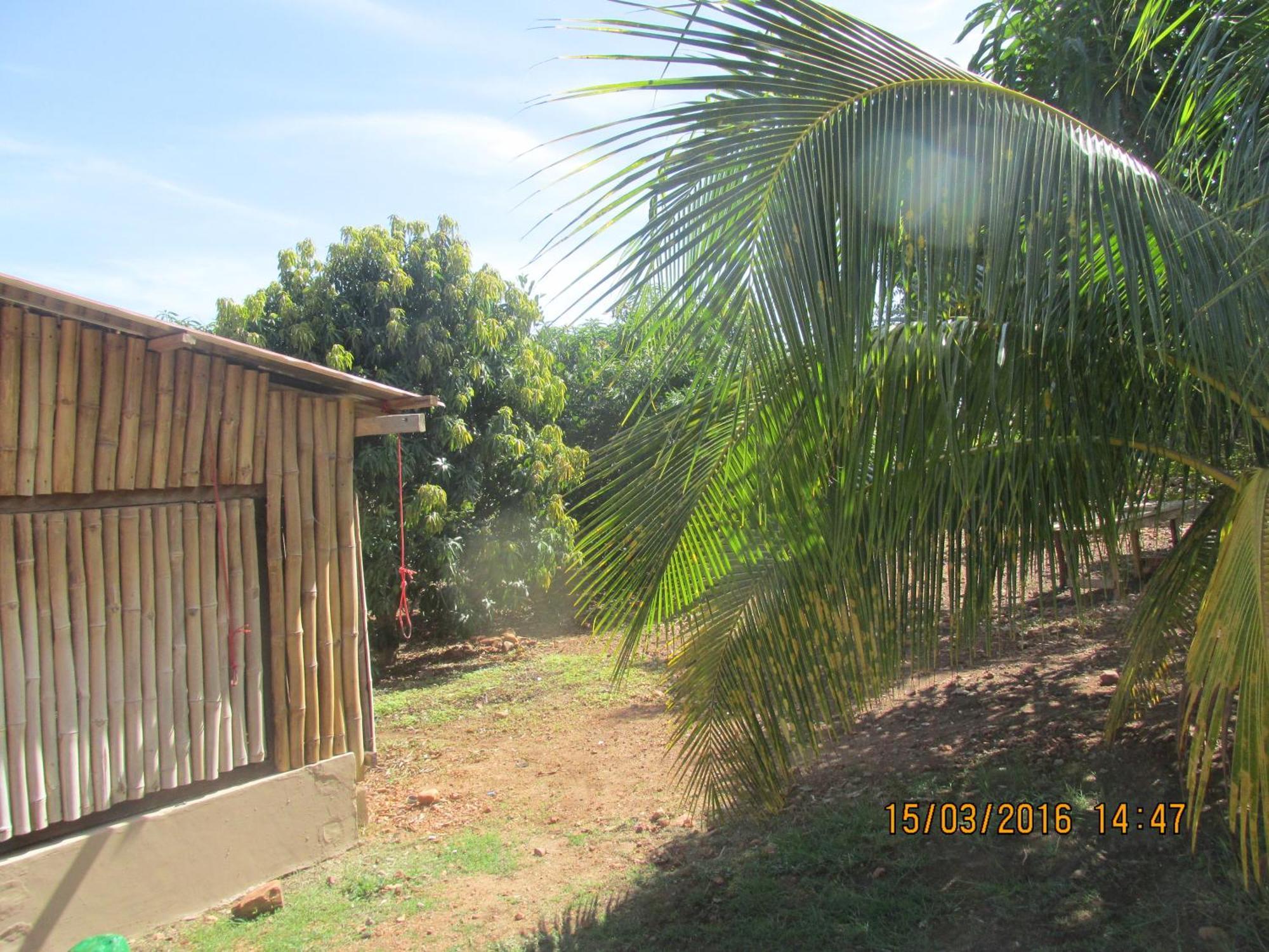 Jamaica Inn Guest House Botianaw Exterior photo